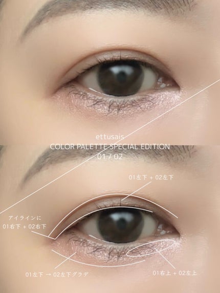 エテュセ カラーパレット スペシャル エディション/ettusais/アイシャドウパレットを使ったクチコミ(5枚目)
