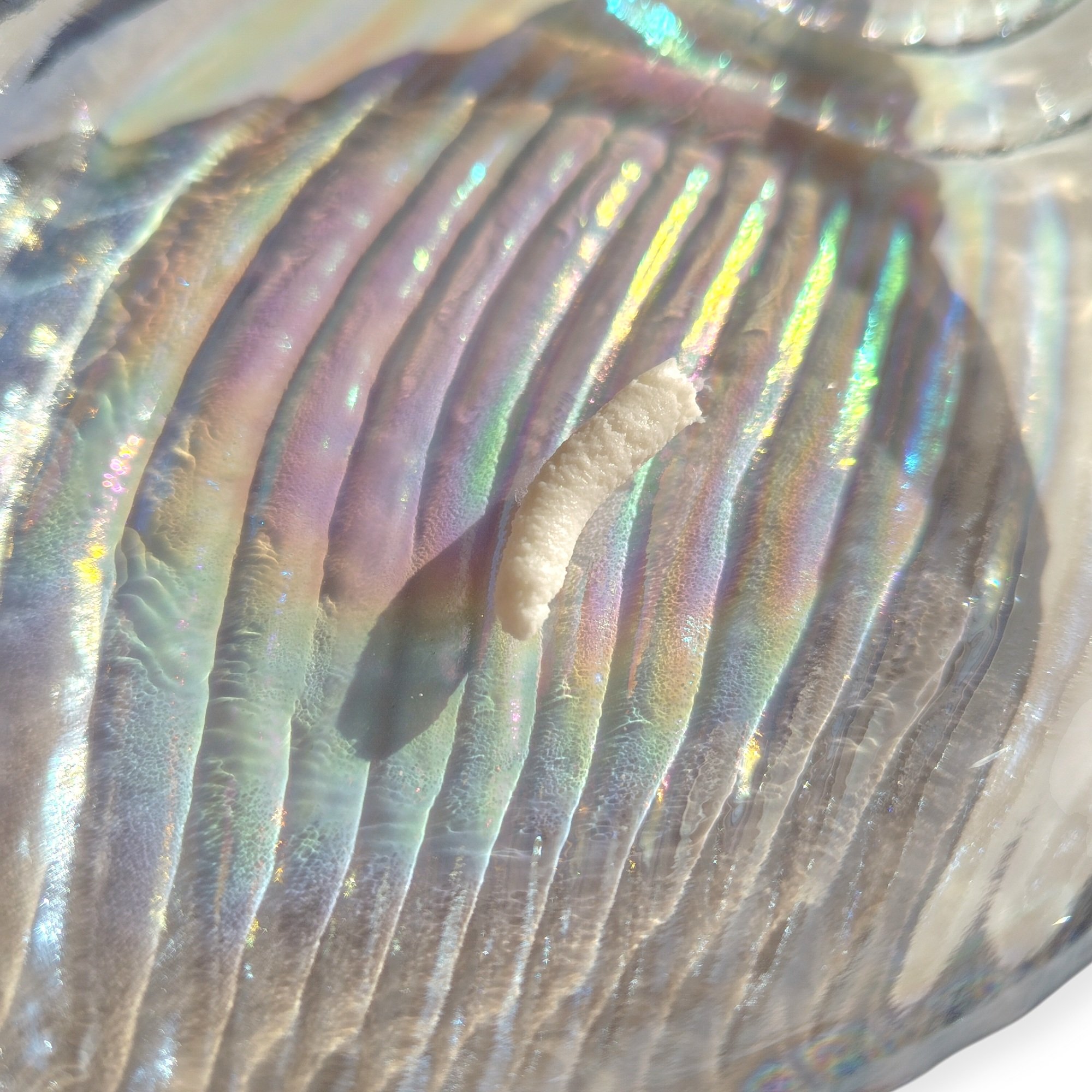 バランスフル クレンジングフォーム/Torriden/洗顔フォームを使ったクチコミ（3枚目）