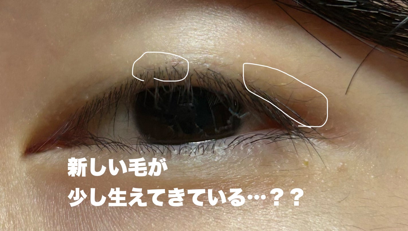 ラッシュジェリードロップ EX プレミアム/MAJOLICA MAJORCA/まつげ美容液を使ったクチコミ(7枚目)