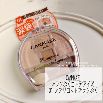 プランぷくコーデアイズ/キャンメイク/パウダーアイシャドウを使ったクチコミ(2枚目)