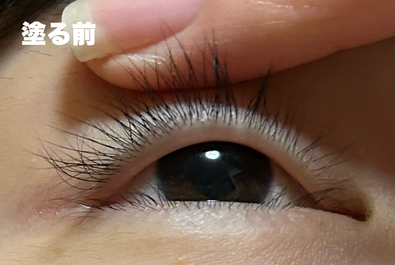 ラッシュジェリードロップ EX プレミアム/MAJOLICA MAJORCA/まつげ美容液を使ったクチコミ(5枚目)