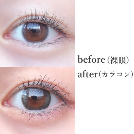 MOLAK 1day/MOLAK/ワンデー(1DAY)カラコンを使ったクチコミ(3枚目)