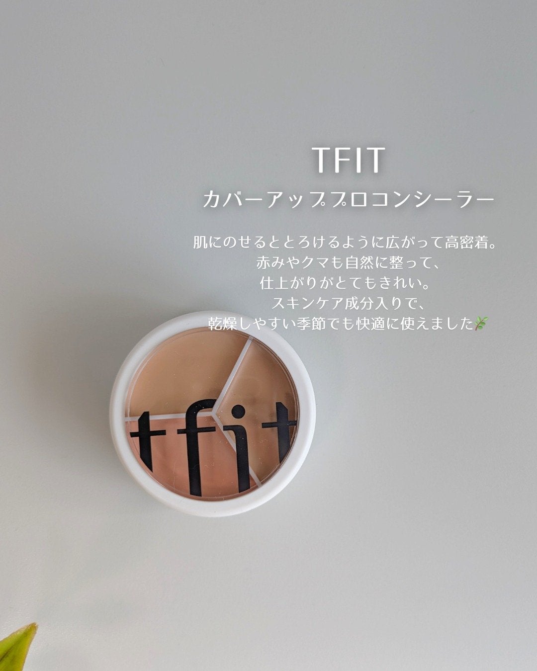 カバーアッププロコンシーラー/TFIT/パレットコンシーラーを使ったクチコミ(1枚目)