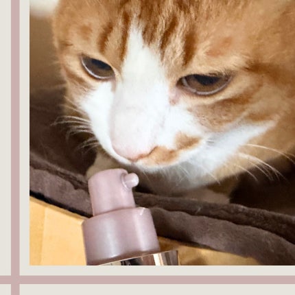 リフトホワイト パーフェクション/BRIGHTAGE/美容液を使ったクチコミ(5枚目)