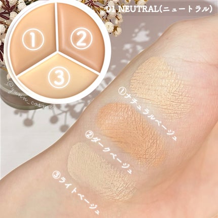 カバーアッププロコンシーラー/TFIT/パレットコンシーラーを使ったクチコミ(4枚目)