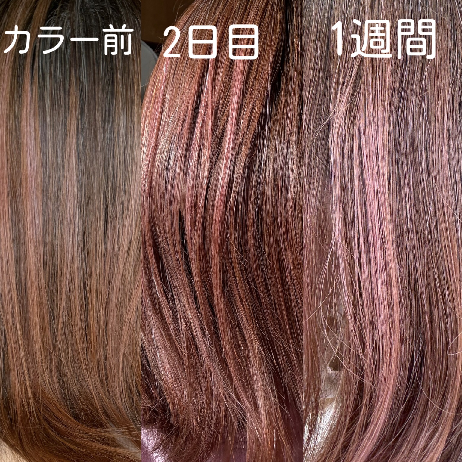 Hair Palette 彩るカラーシャンプー Pink/HairPalette/市販シャンプーを使ったクチコミ（3枚目）