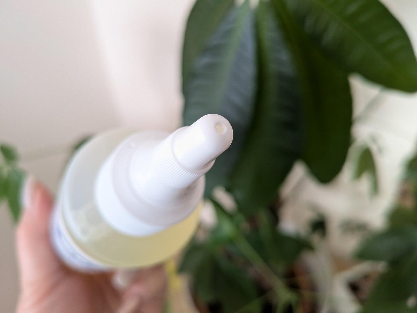 キンギョ姫 on LIPS 「BloomLift頭皮保湿ローション内容量:150mL乾燥やか..」(3枚目)