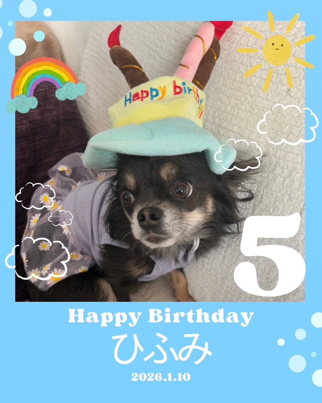 ひふみレイキ💫フォロバ♾️ on LIPS 「口癖ひとつで可愛さ変わる説💫ひふみが5歳になりましたその節目に..」(3枚目)