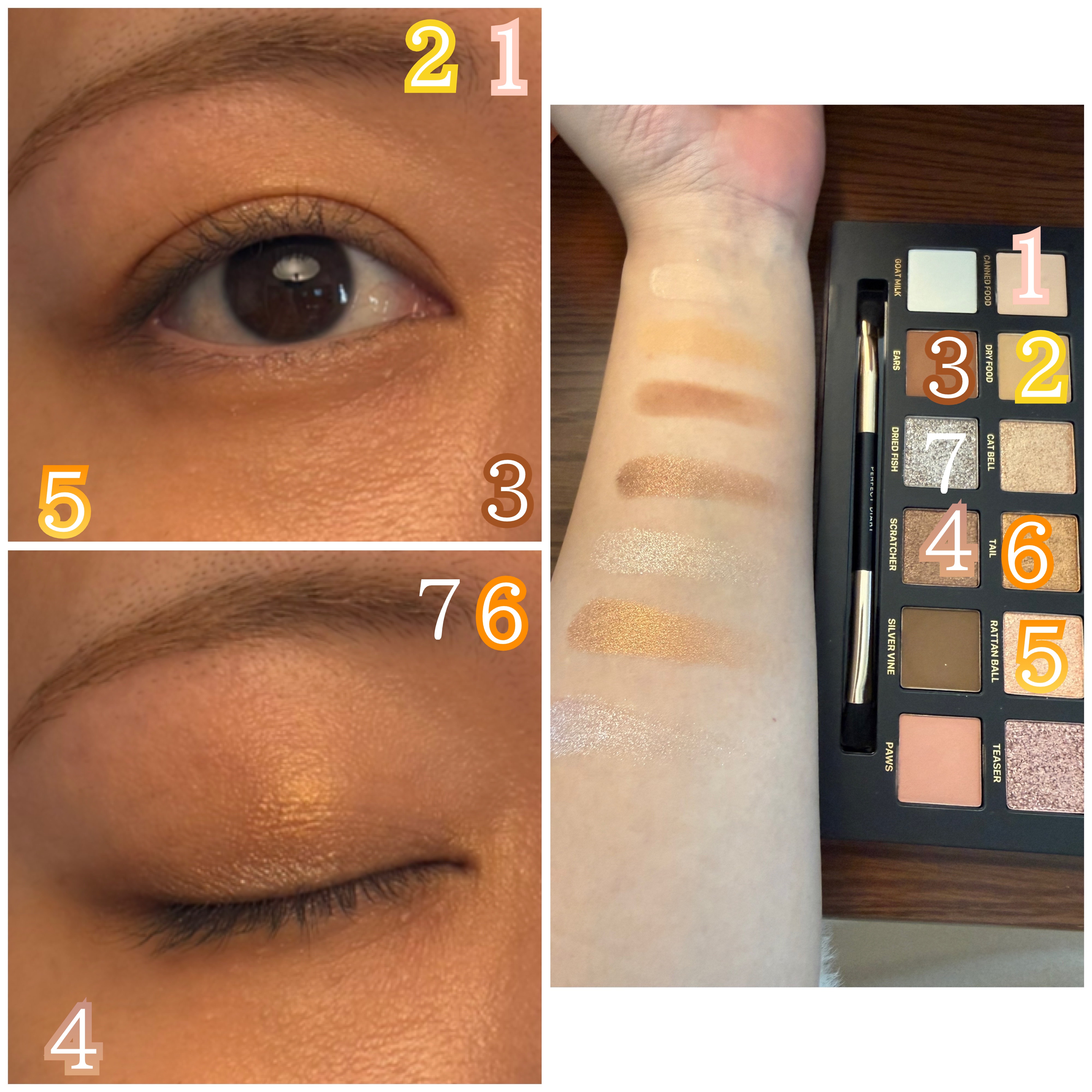 エクスプローラ12色 動物アイシャドウパレット/PERFECT DIARY/アイシャドウパレットを使ったクチコミ（2枚目）