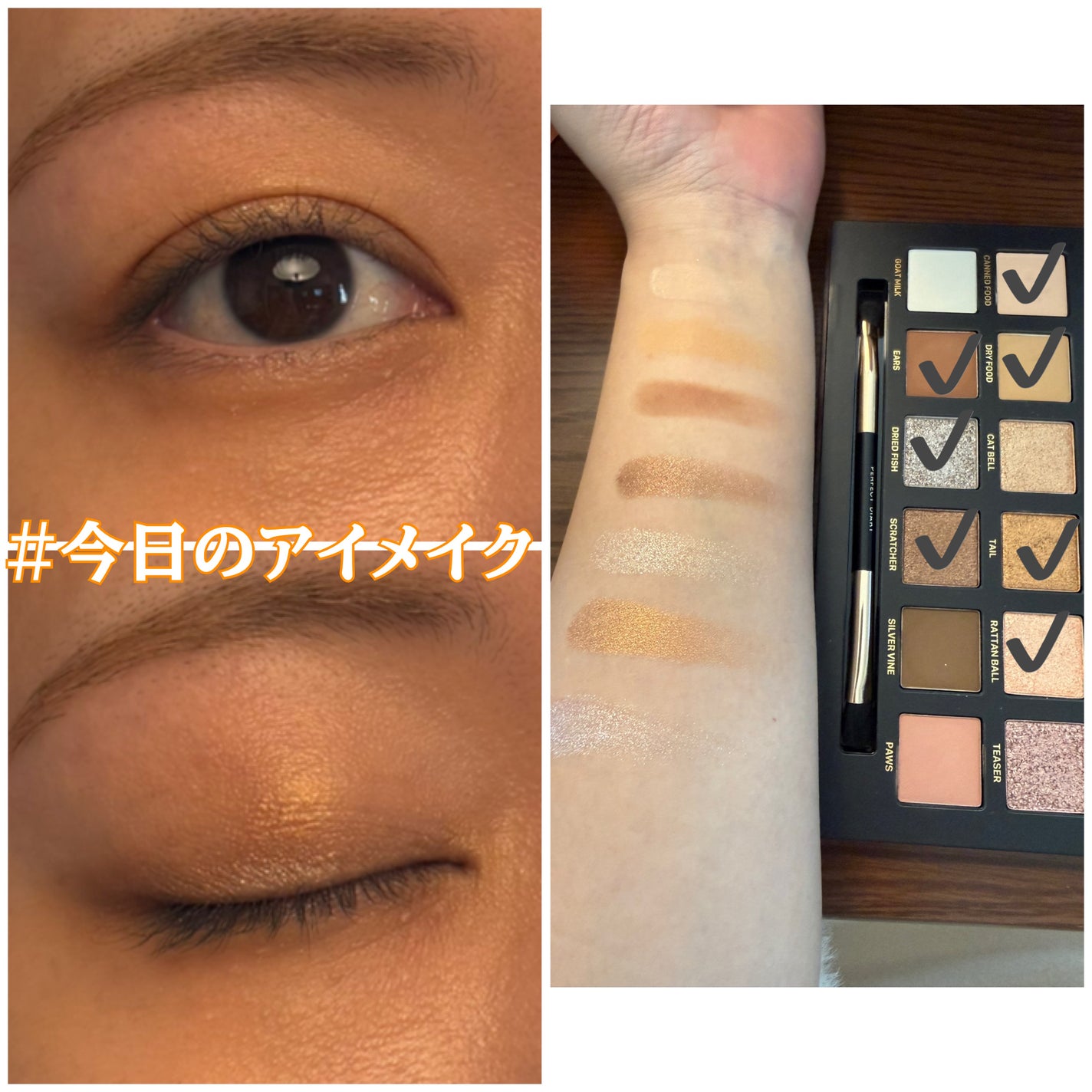 エクスプローラ12色 動物アイシャドウパレット/PERFECT DIARY/アイシャドウパレットを使ったクチコミ(1枚目)