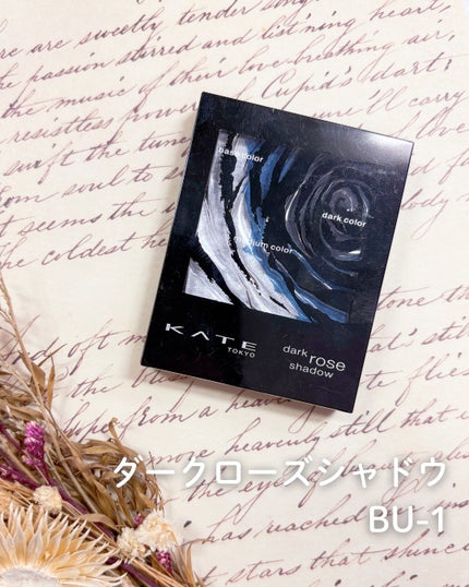 ダークローズシャドウ/KATE/アイシャドウパレットを使ったクチコミ(2枚目)