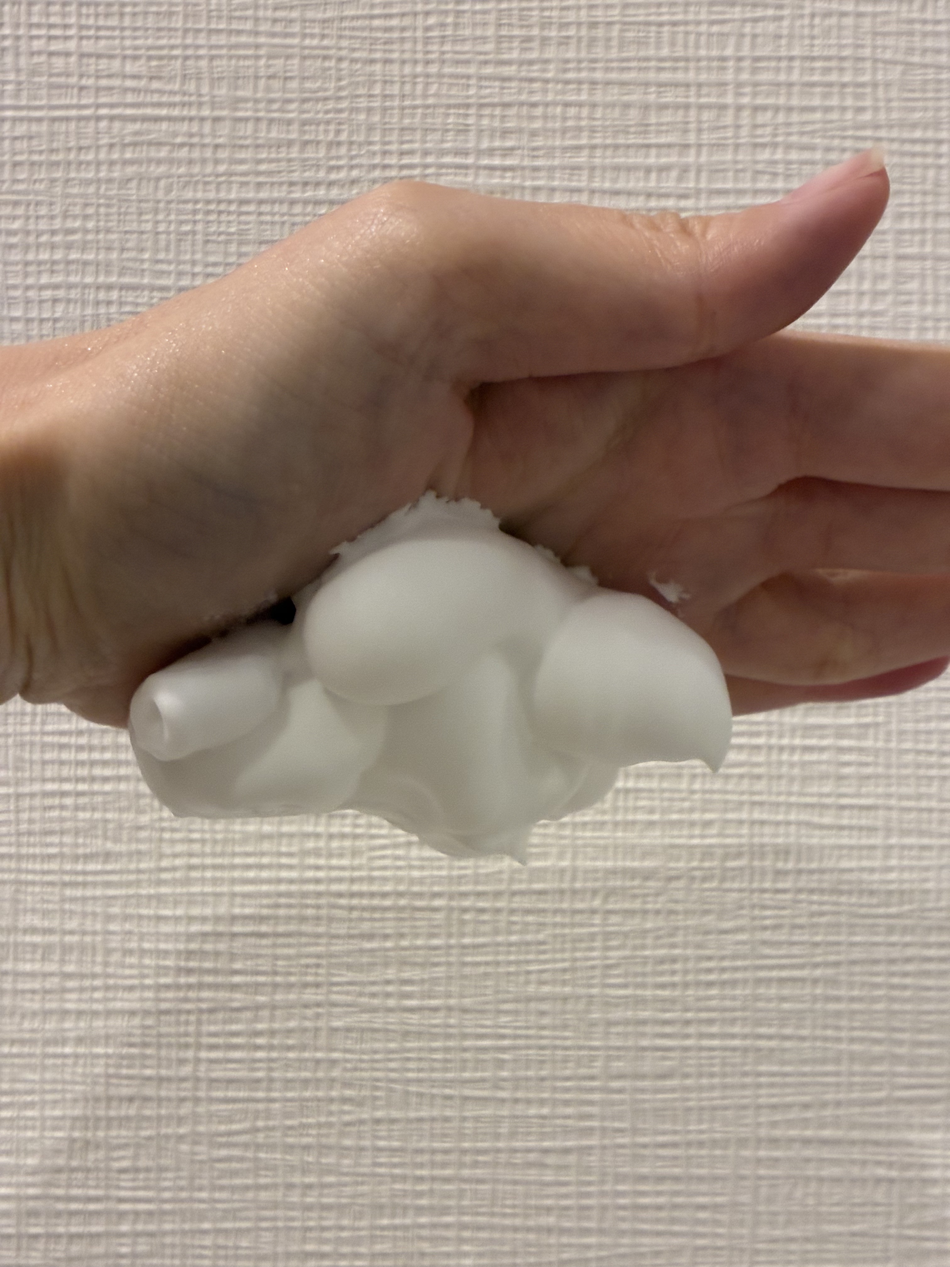 クリスタルホイップ/SHIRORU/泡洗顔を使ったクチコミ（3枚目）