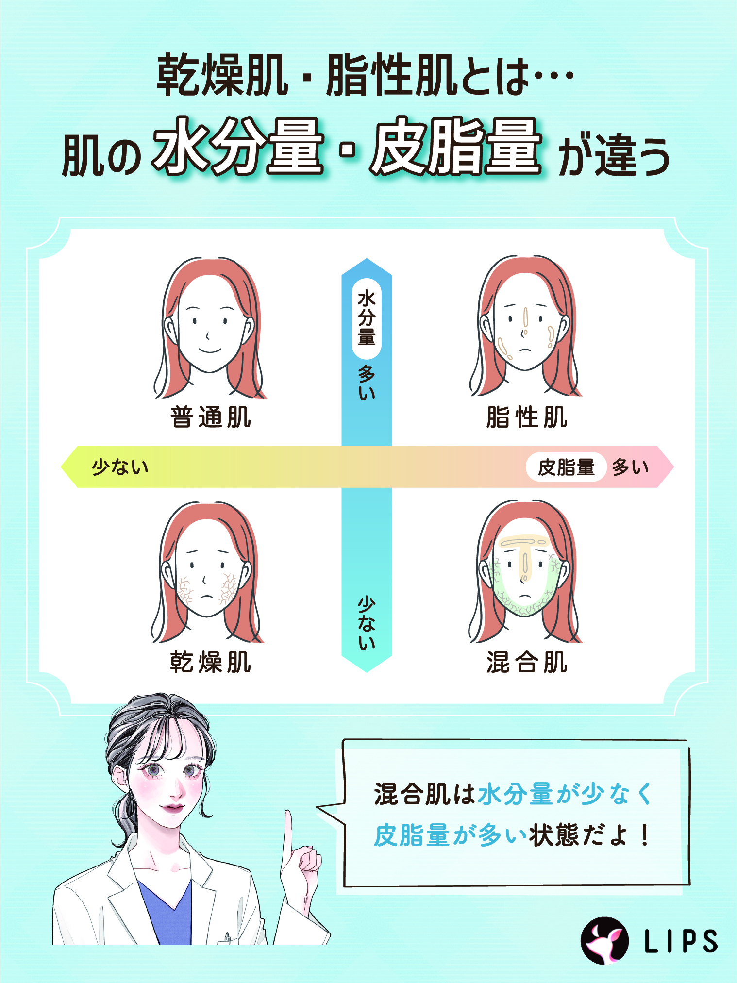 乾燥肌・脂性肌は肌の水分量・皮脂量が違う。
