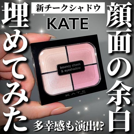 バウンシーチークシャドウ/KATE/マルチパレットを使ったクチコミ(1枚目)