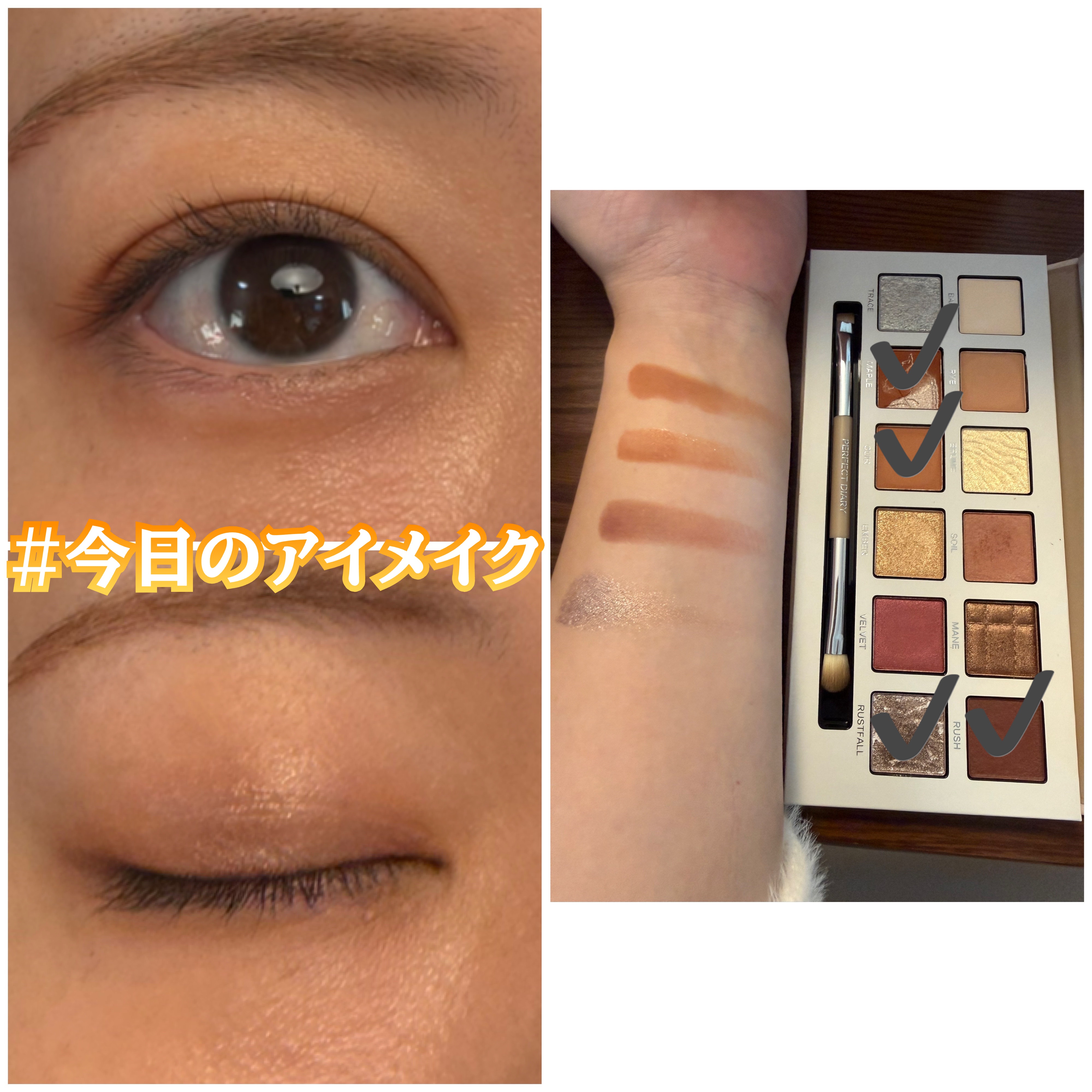 エクスプローラ12色 動物アイシャドウパレット/PERFECT DIARY/アイシャドウパレットを使ったクチコミ（1枚目）