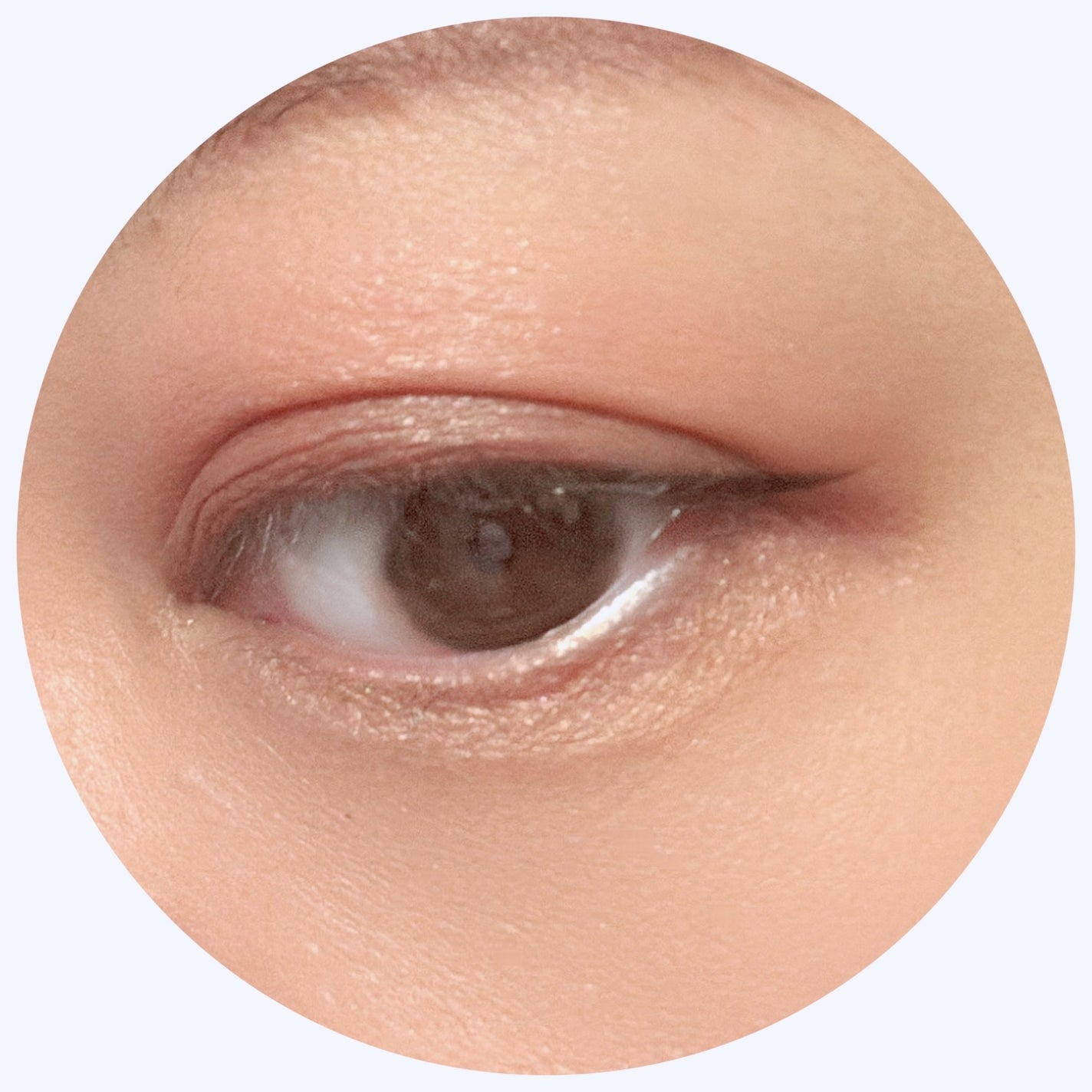 6色アイシャドウパレット/and us/アイシャドウパレットを使ったクチコミ(4枚目)