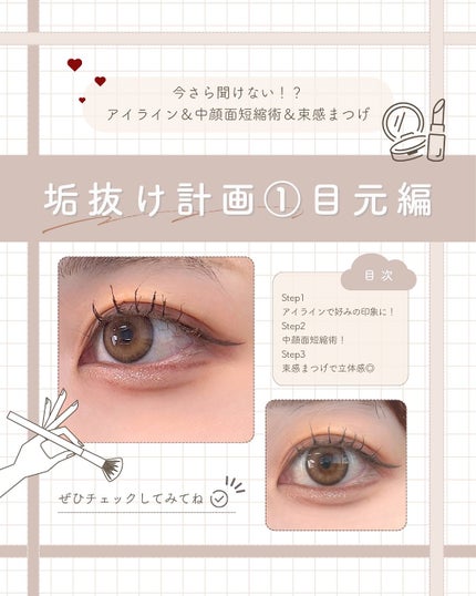 Wアイブロウブラシ/SHOBIDO/メイクブラシを使ったクチコミ(1枚目)