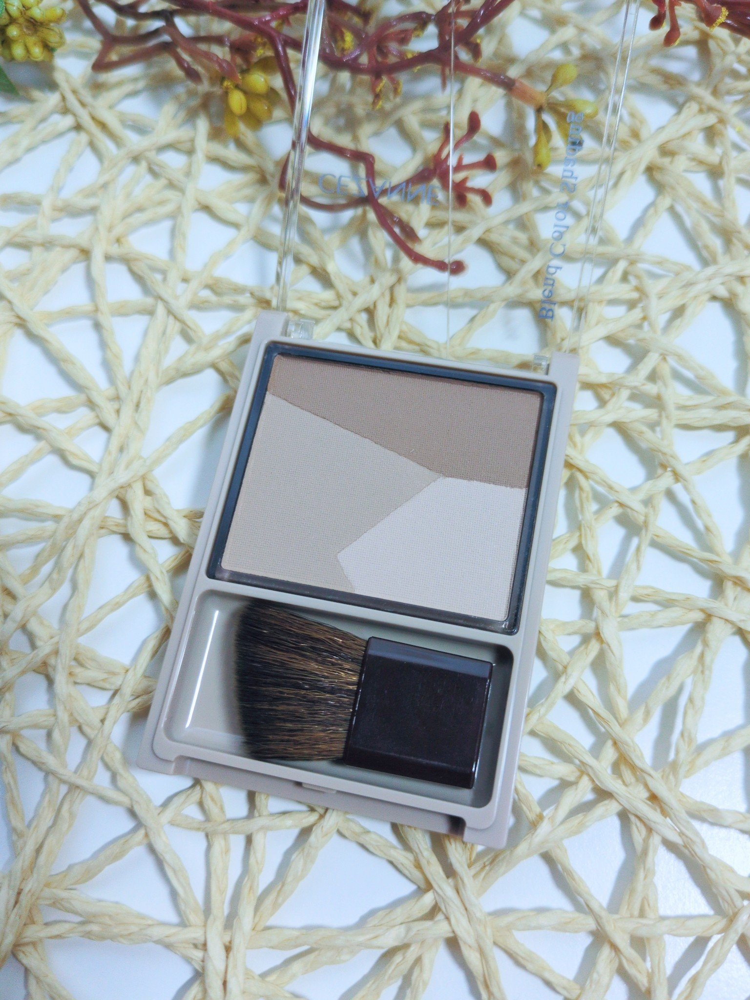 ブレンドカラーシェーディング/CEZANNE/シェーディングを使ったクチコミ（2枚目）