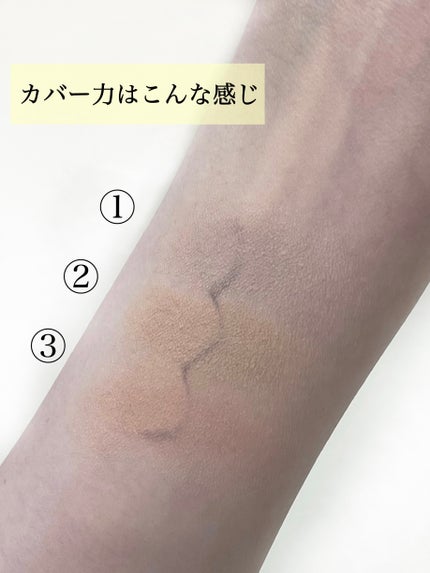 カバーアッププロコンシーラー/TFIT/パレットコンシーラーを使ったクチコミ(6枚目)