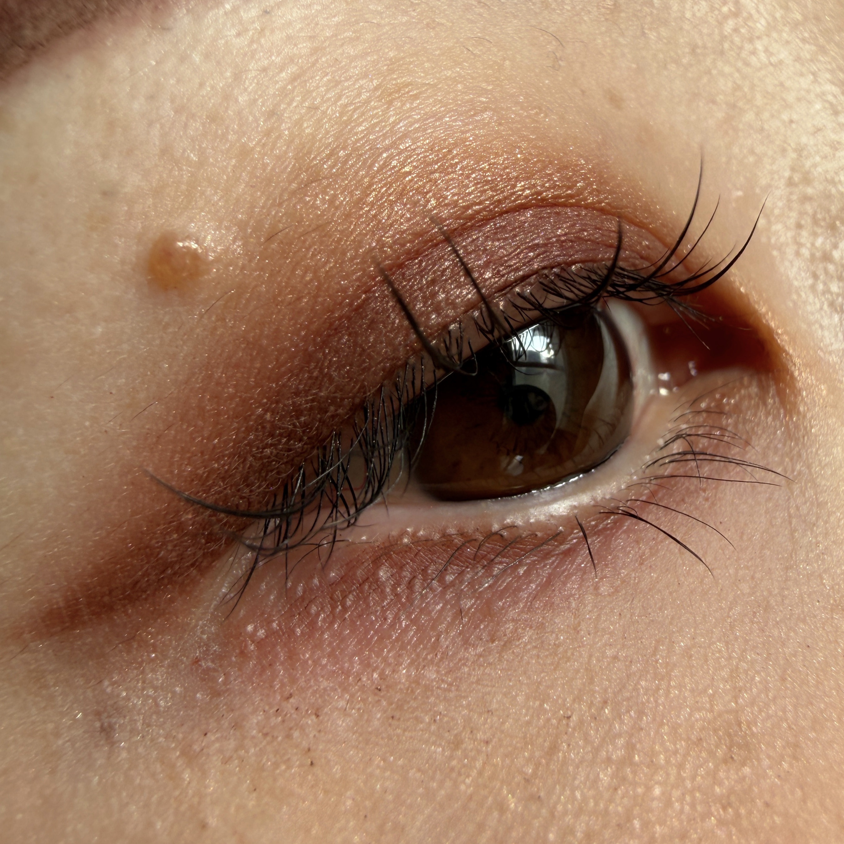 トーン タッチ アイズ/SUQQU/単色アイシャドウを使ったクチコミ（1枚目）