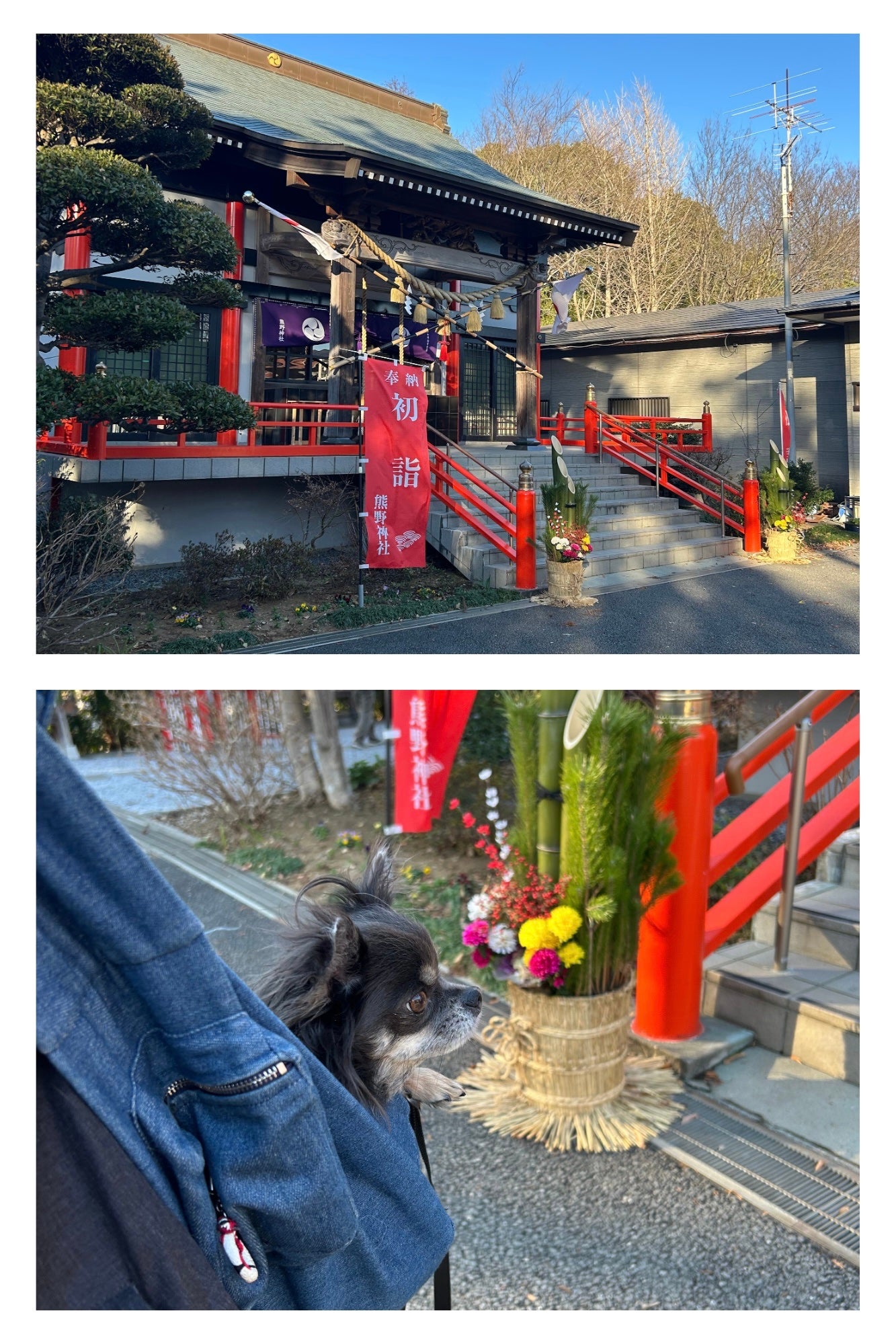 ひふみレイキ💫フォロバ♾️ on LIPS 「口癖ひとつで可愛さ変わる説💫ひふみが5歳になりましたその節目に..」(2枚目)