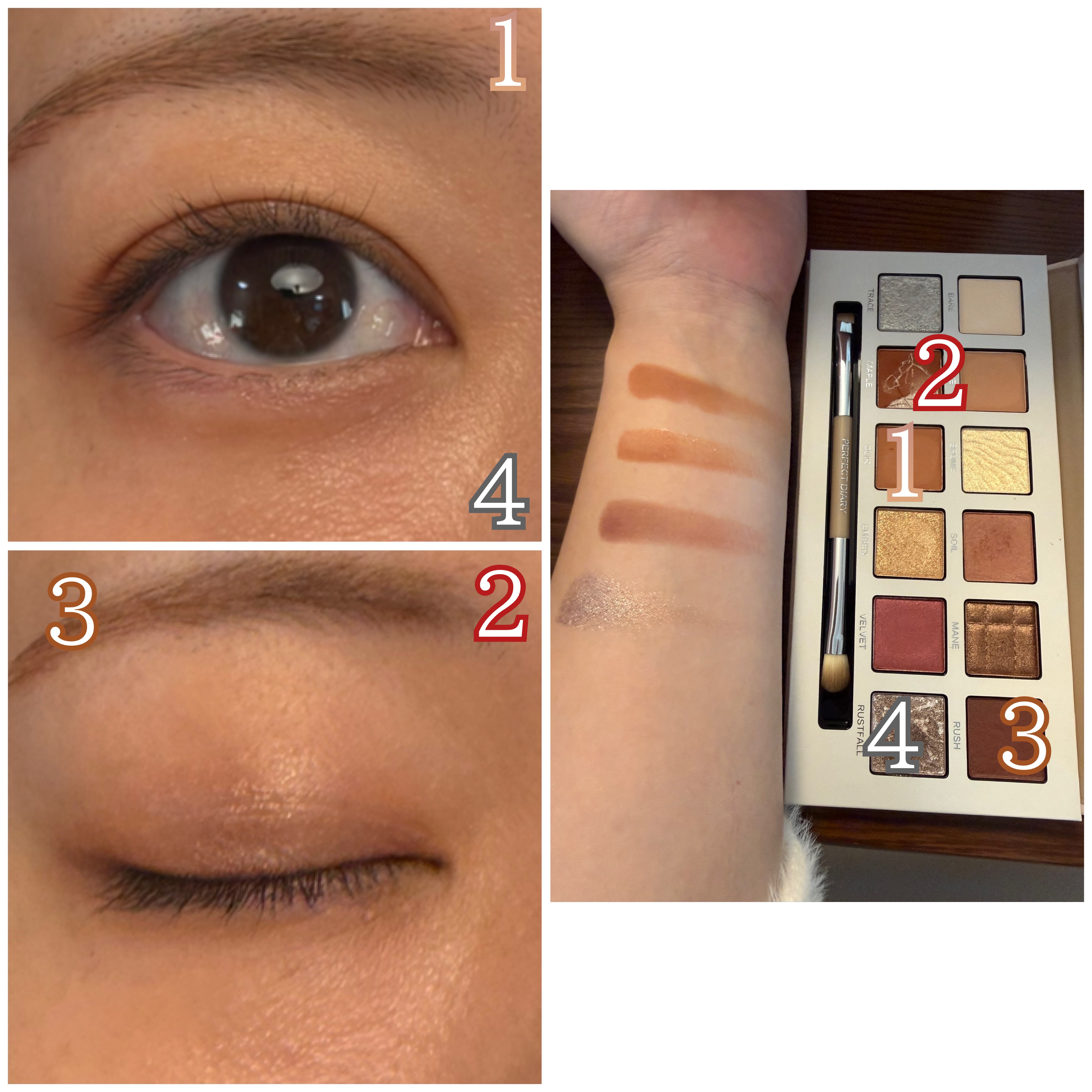 エクスプローラ12色 動物アイシャドウパレット/PERFECT DIARY/アイシャドウパレットを使ったクチコミ（2枚目）