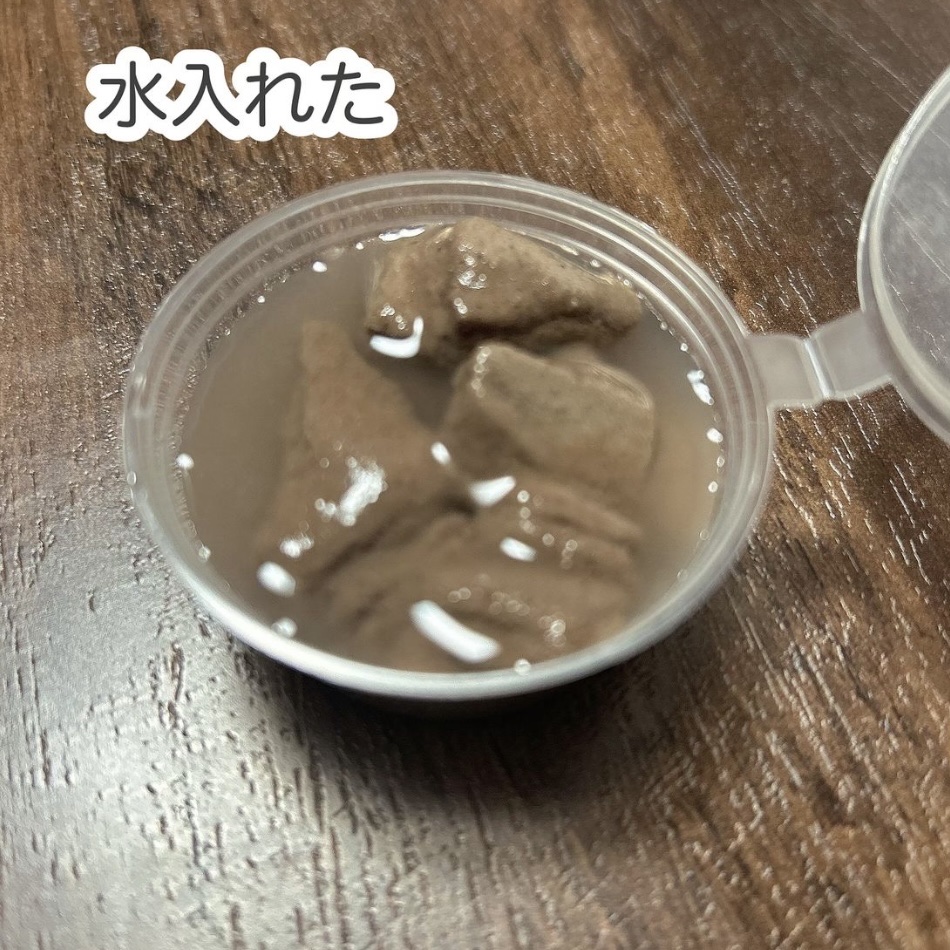 ガスール固形/ナイアード/洗顔石鹸を使ったクチコミ（3枚目）