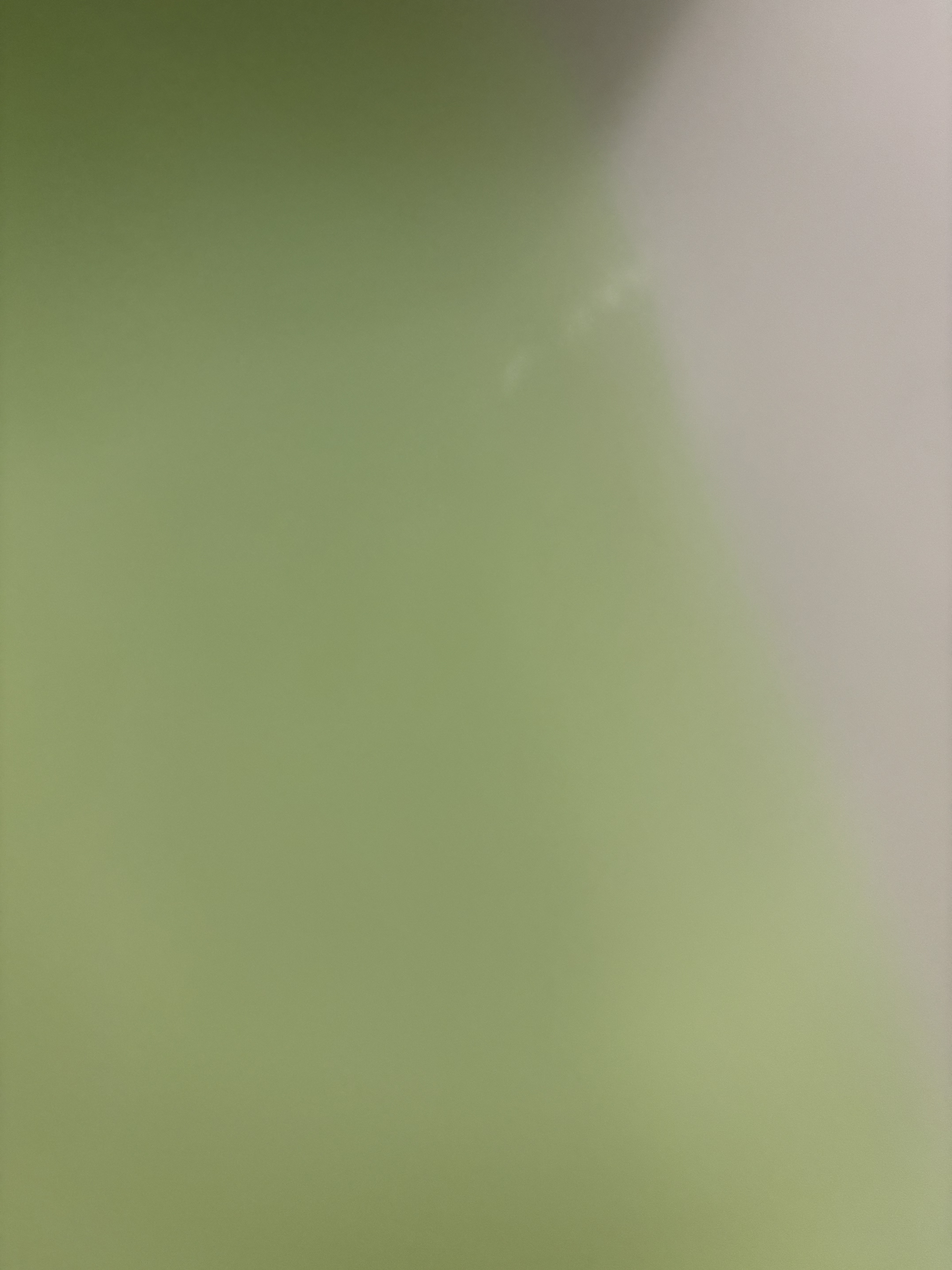 にごり湯の醍醐味/日本の名湯/無機塩系入浴剤を使ったクチコミ（1枚目）