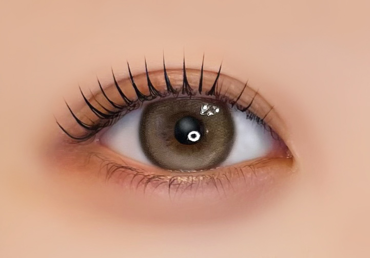 Ferenne 1day マロネージュ