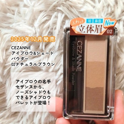 アイブロウ&シェードパウダー/CEZANNE/パウダーアイブロウを使ったクチコミ(2枚目)