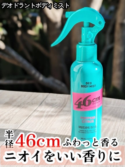 ããªãã©ã³ãããã£ãã¹ã/46cm/ããã£ããŒã·ã§ã³ã䜿ã£ãã¯ãã³ãïŒ1æç®ïŒ