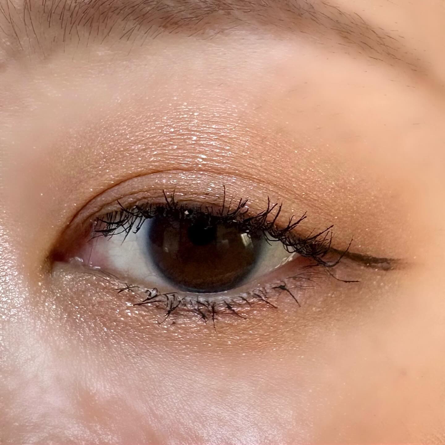 ケイト メロウブラウンアイズ/KATE/アイシャドウパレットを使ったクチコミ（2枚目）