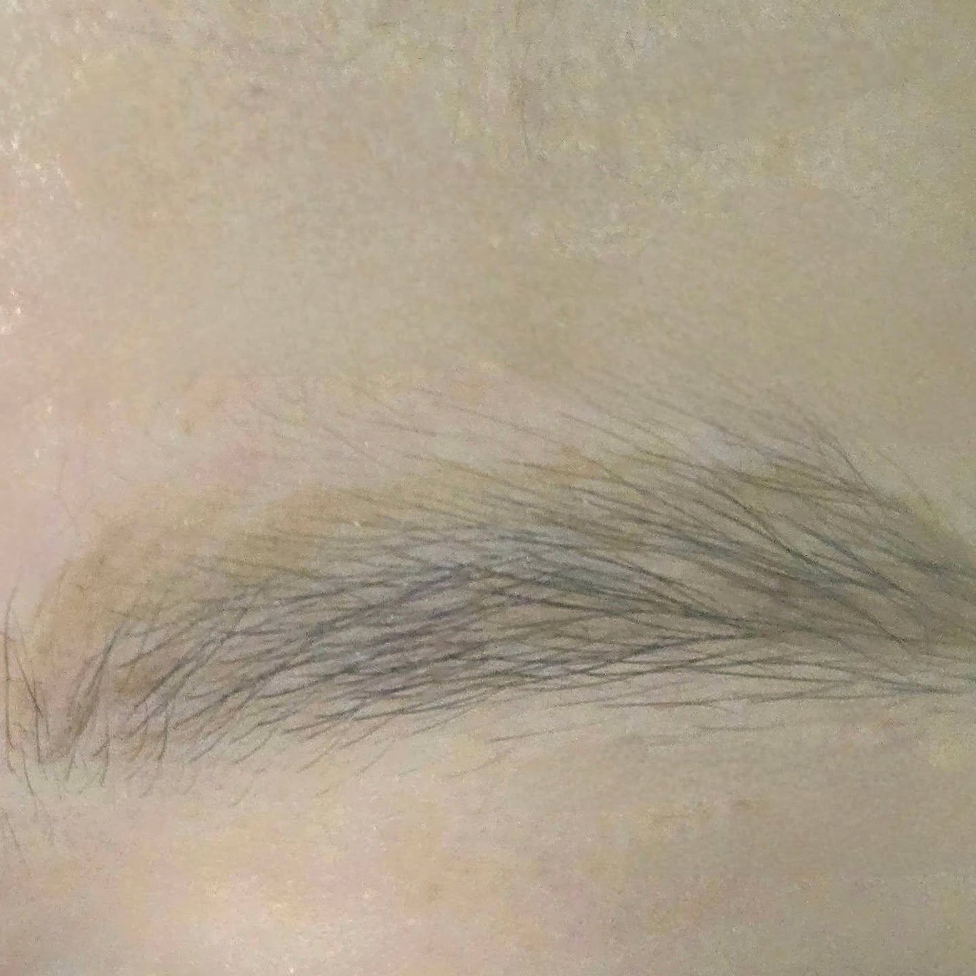 ケイト アイブロウペンシルスーパースリム0.8/KATE/アイブロウペンシルを使ったクチコミ(4枚目)