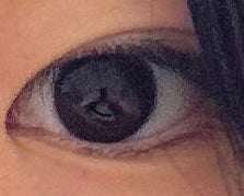 エバーカラーマンスリー/エバーカラー/1ヶ月(1MONTH)カラコンを使ったクチコミ(1枚目)