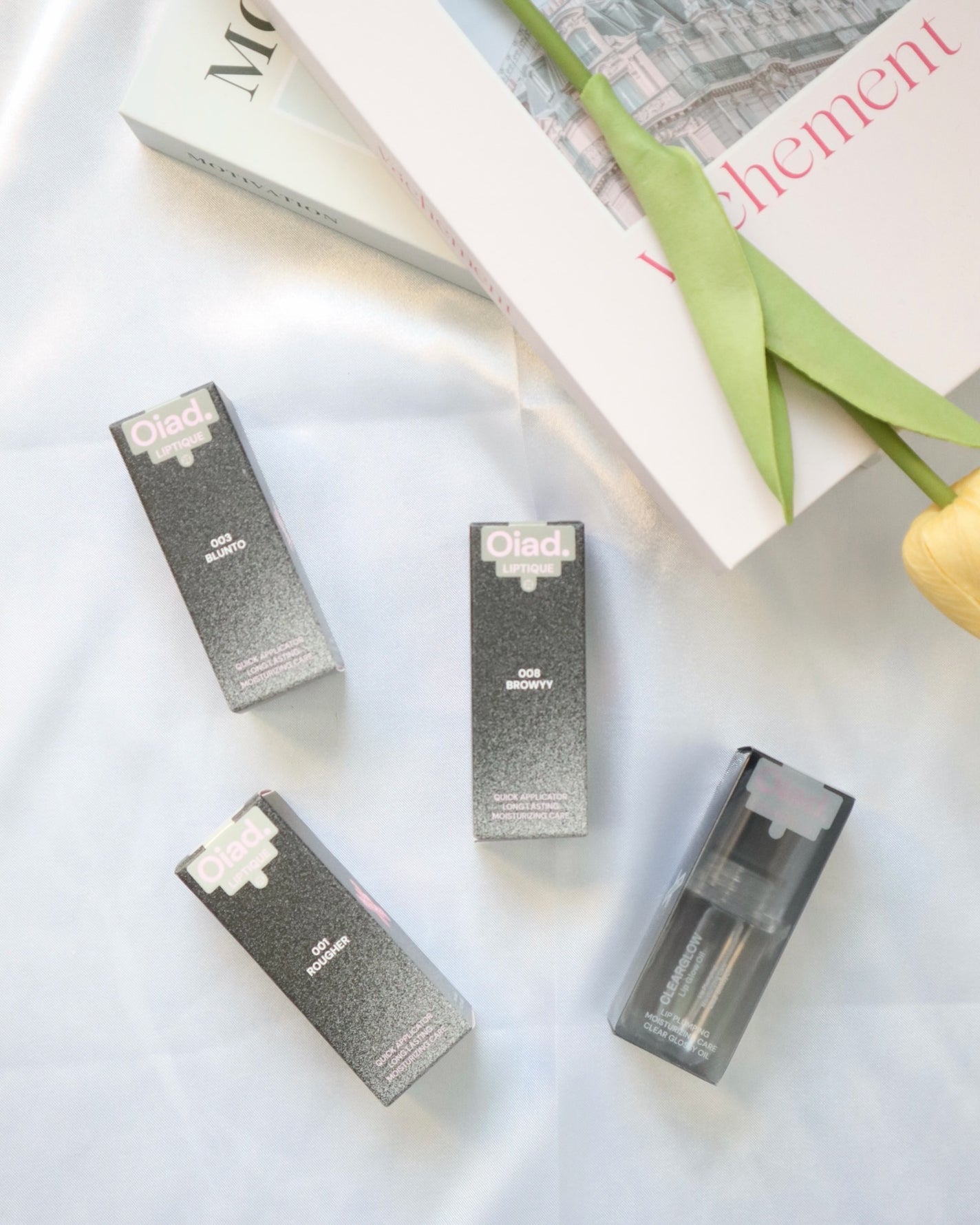 リップティーク/oiad/口紅を使ったクチコミ(4枚目)