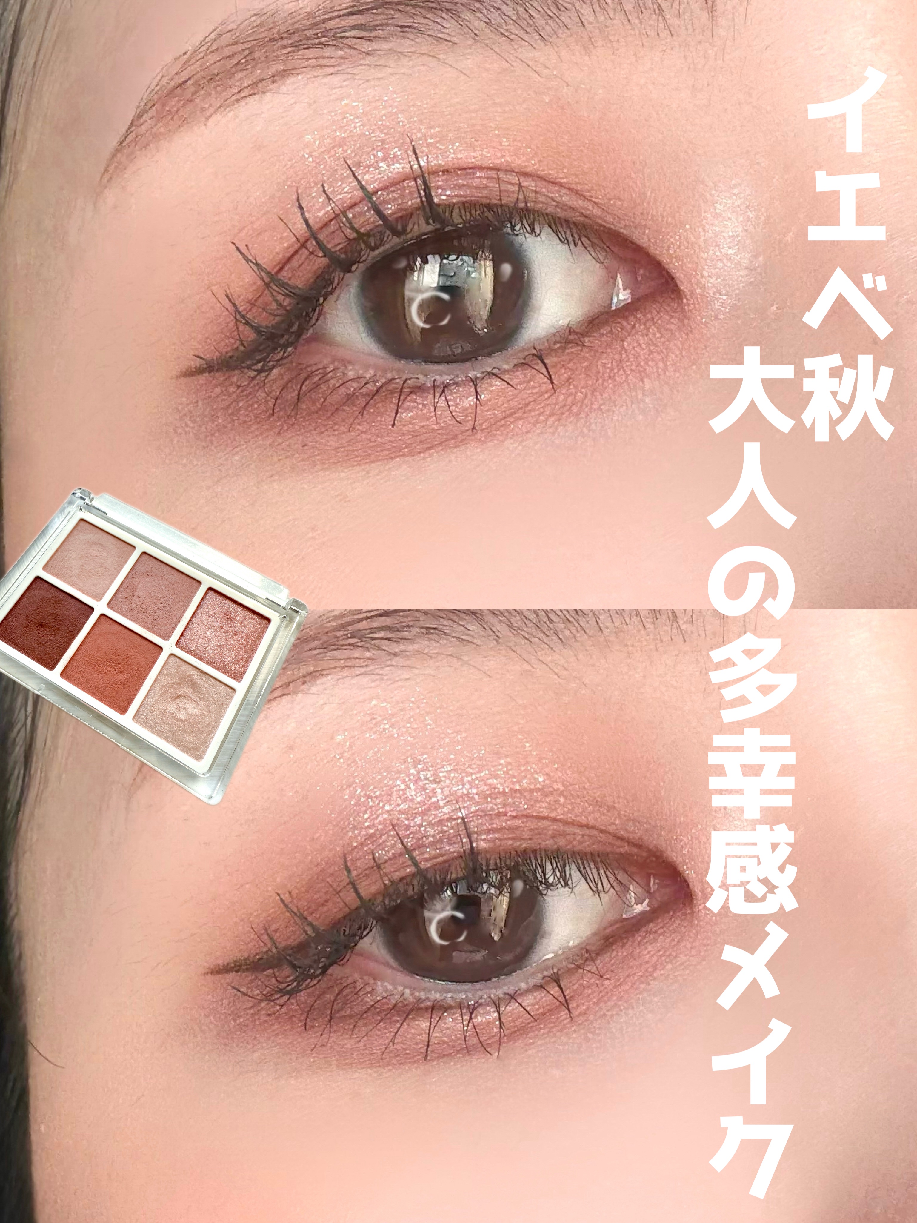 ティルナス  パールコア アイパレット/tilnus/アイシャドウパレットを使ったクチコミ（1枚目）