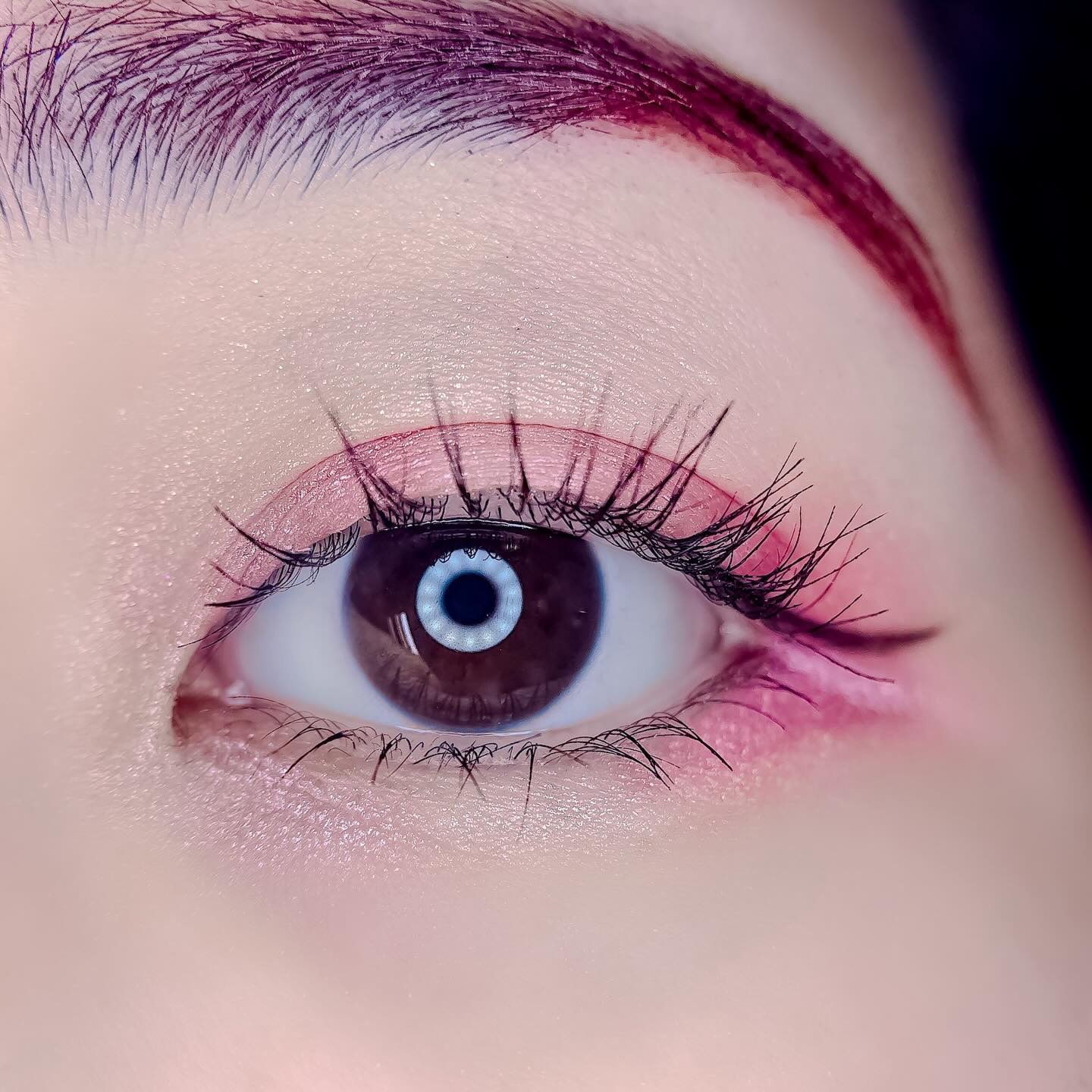 ディオールショウ サンク クルール（ミス ディオール コレクション 限定品）/Dior/アイシャドウを使ったクチコミ（3枚目）