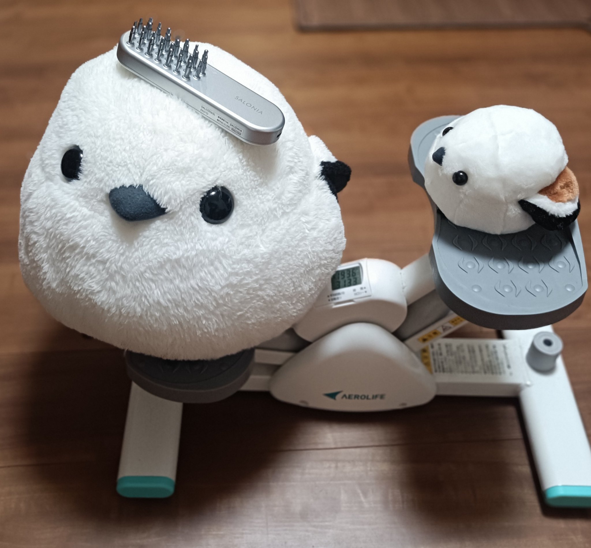 最近毎日風呂あがりしてること

時間なさ過ぎて

ステッパー踏みながら、シートマスクして
サロニアのEMSあてて、顔体操9分してる。

そろそろ痩せてもいいんですけど😠

