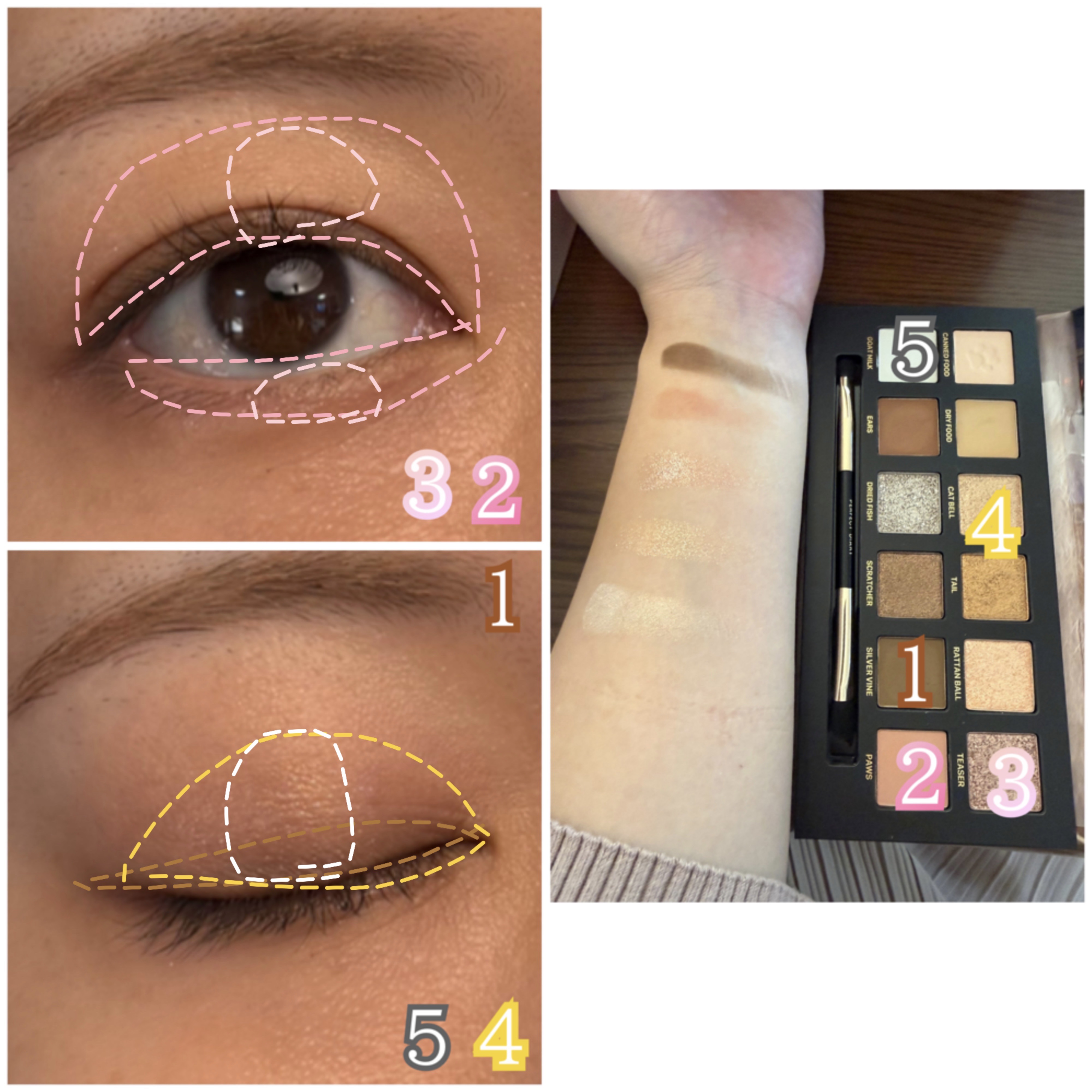 エクスプローラ12色 動物アイシャドウパレット/PERFECT DIARY/アイシャドウパレットを使ったクチコミ（3枚目）