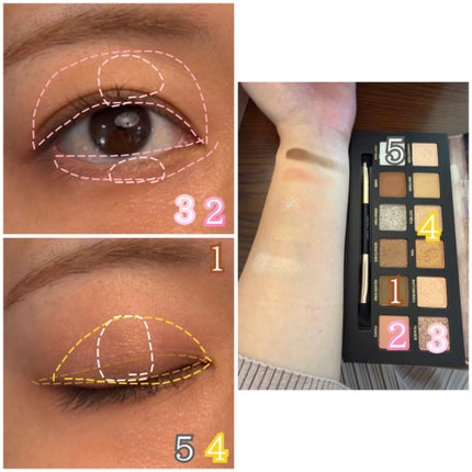 エクスプローラ12色 動物アイシャドウパレット/PERFECT DIARY/アイシャドウパレットを使ったクチコミ(3枚目)