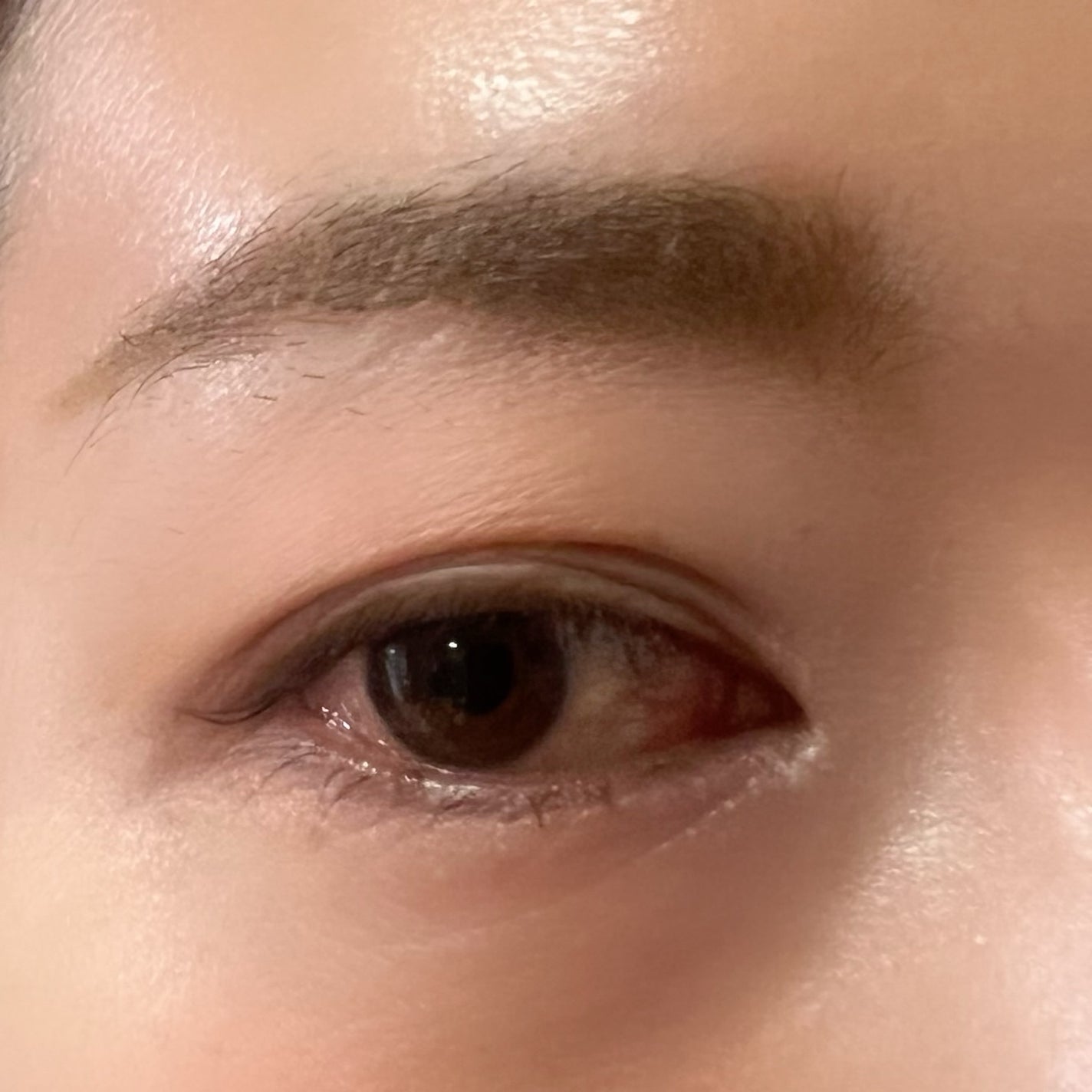 SP フラッフ ブロウ ムース/MAYBELLINE NEW YORK/眉マスカラを使ったクチコミ(6枚目)