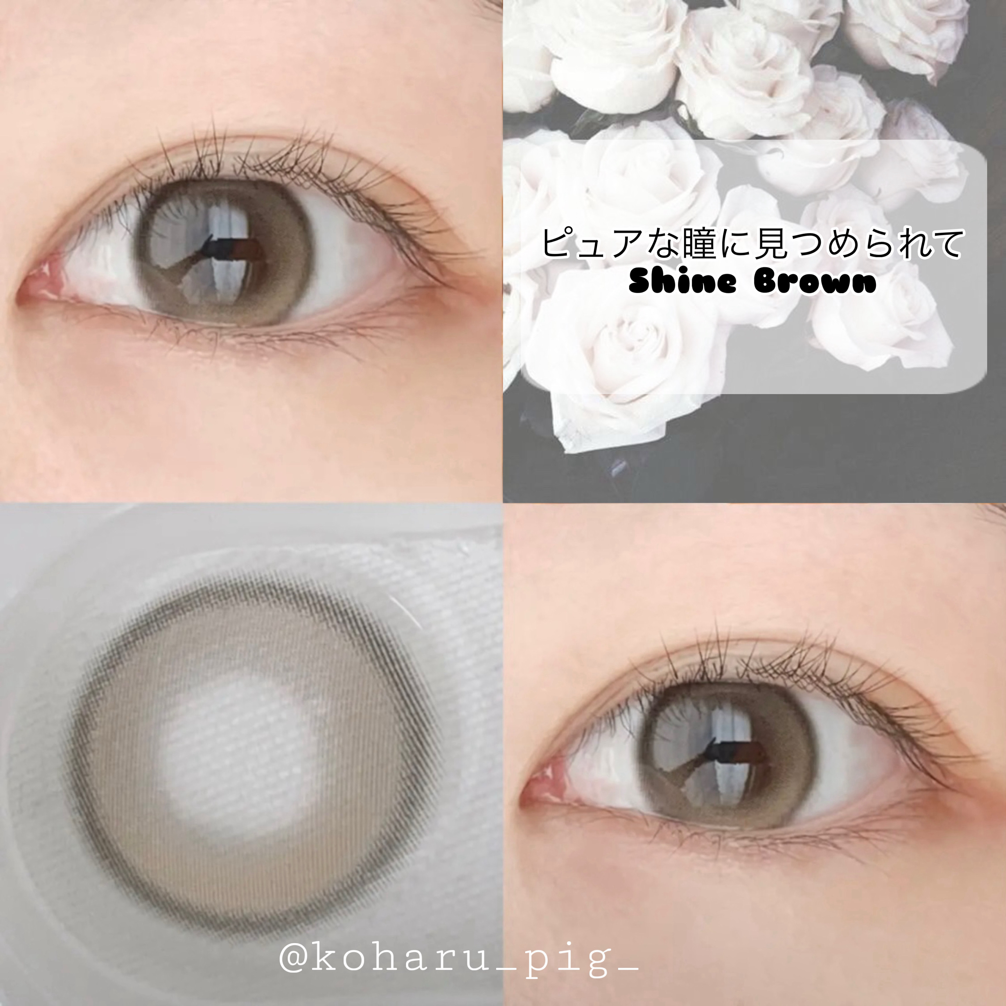 MUSE 1day/OLENS/ワンデー（１DAY）カラコンを使ったクチコミ（1枚目）