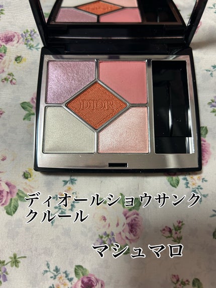 ディオールショウ サンク クルール/Dior/アイシャドウを使ったクチコミ(1枚目)