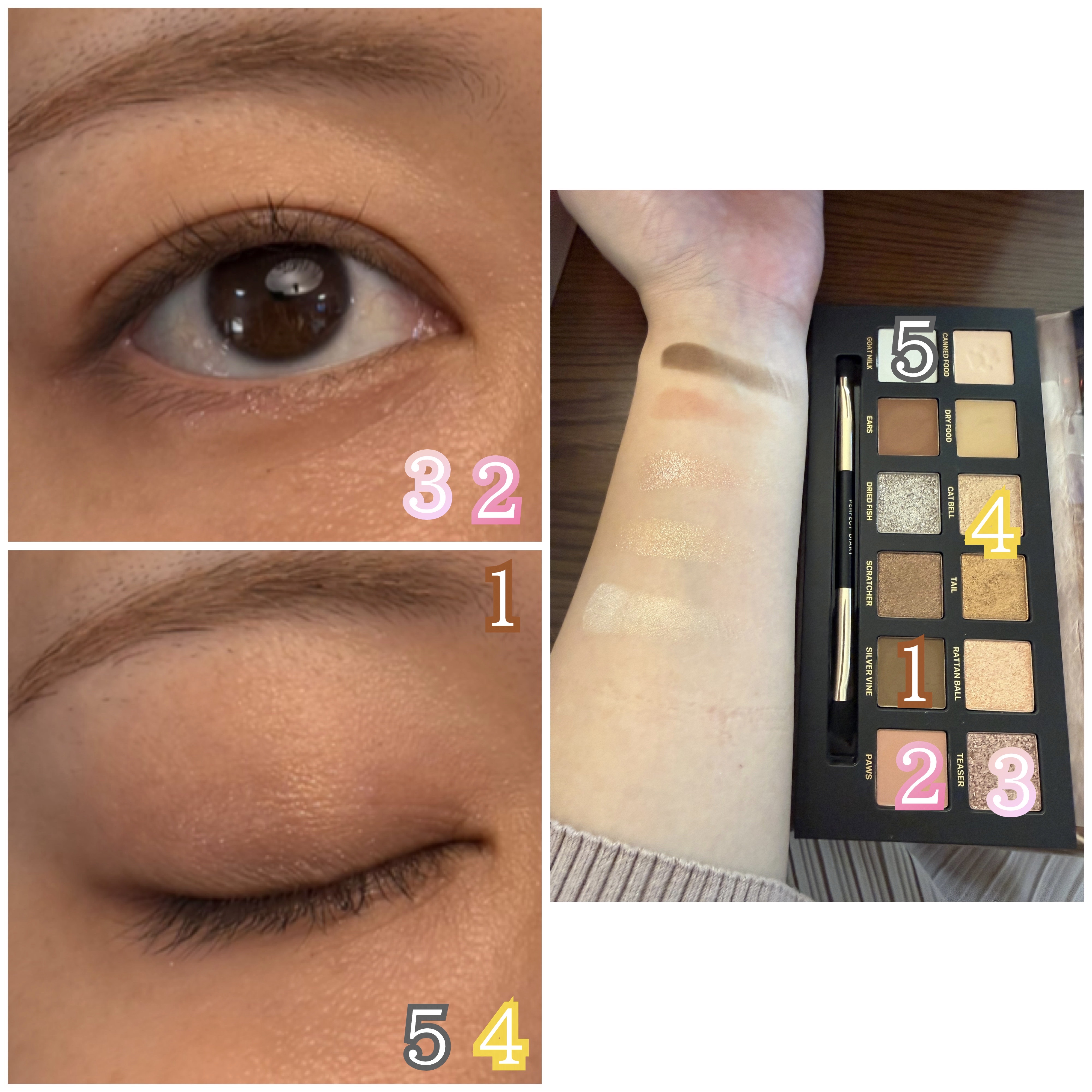 エクスプローラ12色 動物アイシャドウパレット/PERFECT DIARY/アイシャドウパレットを使ったクチコミ（2枚目）