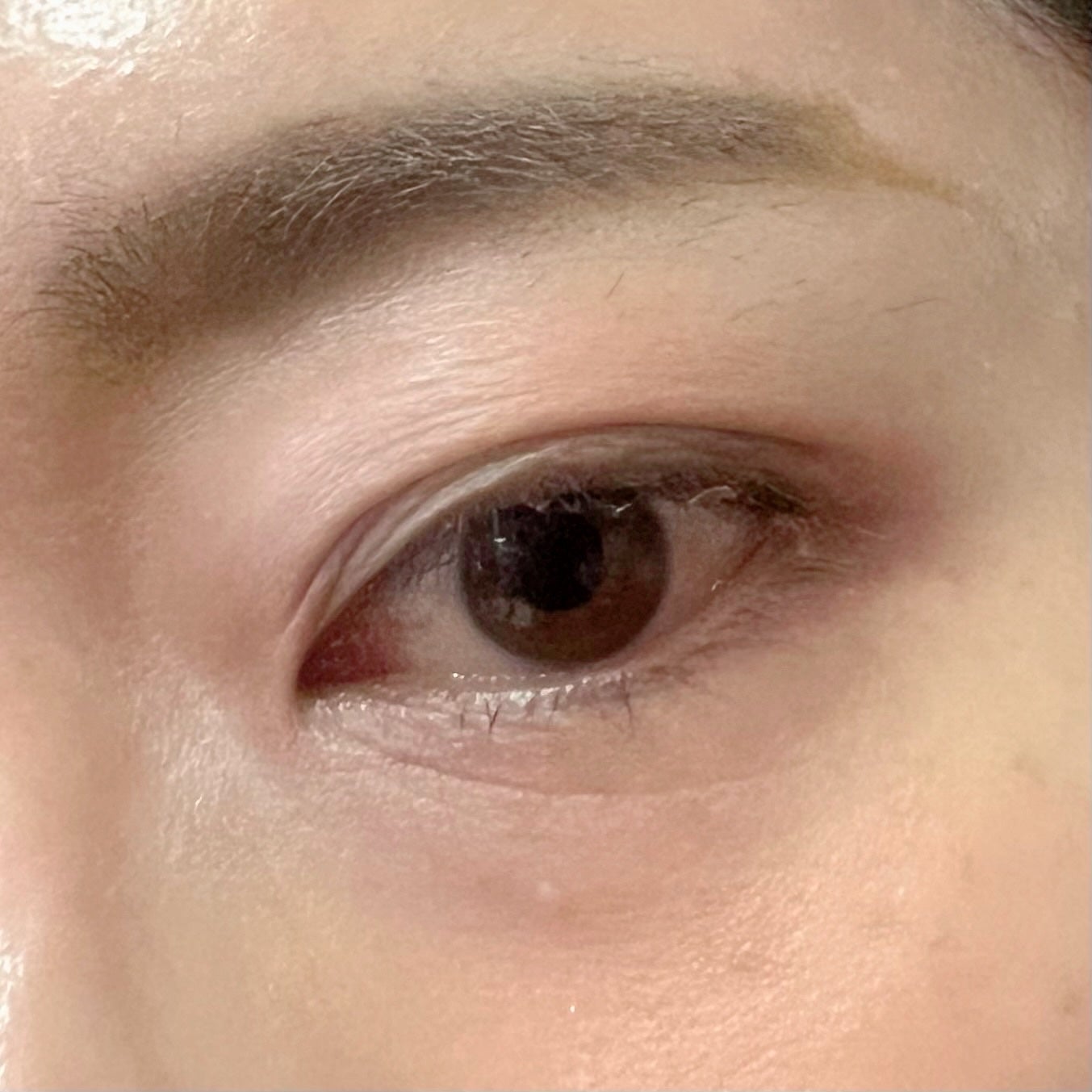 SP フラッフ ブロウ ムース/MAYBELLINE NEW YORK/眉マスカラを使ったクチコミ(5枚目)