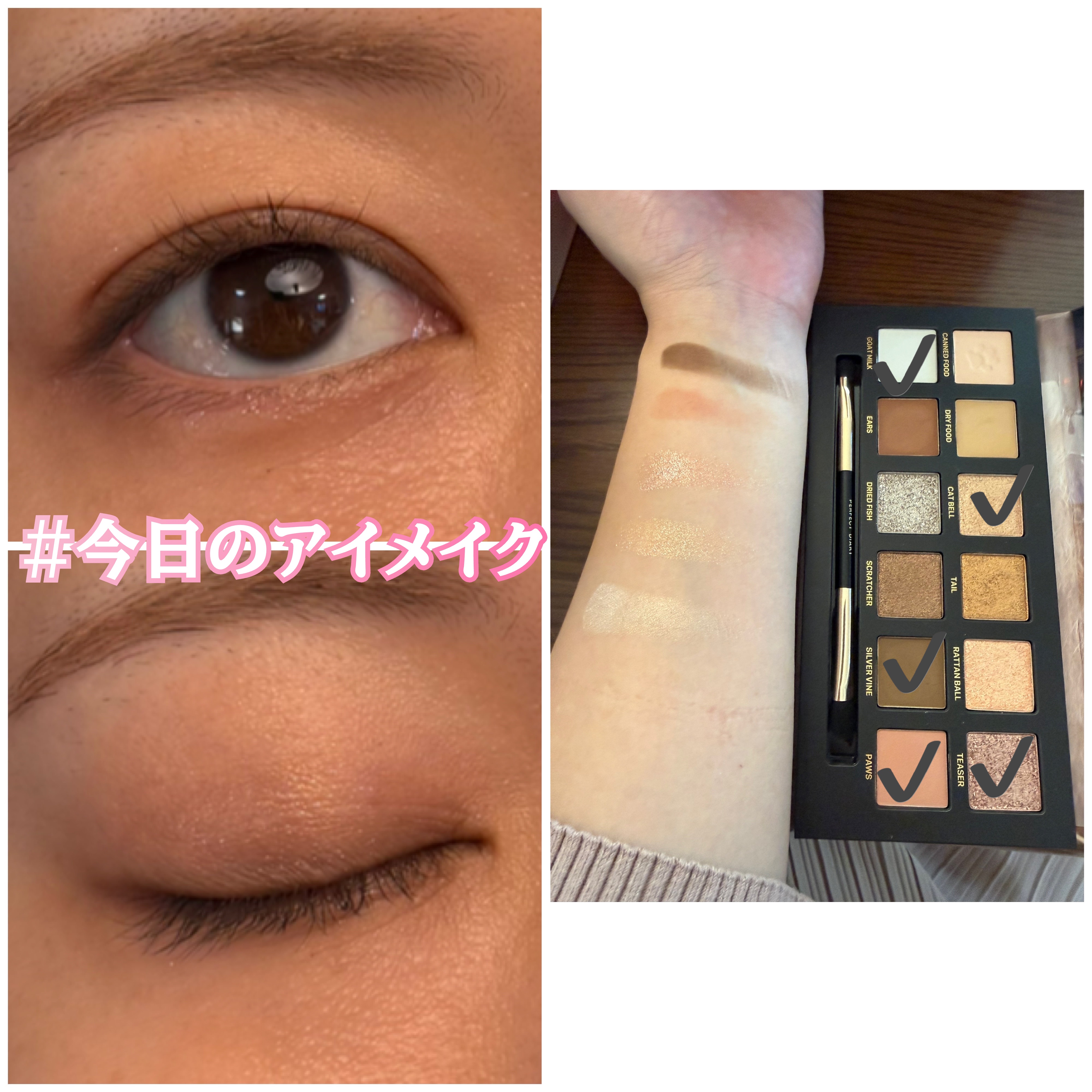 エクスプローラ12色 動物アイシャドウパレット/PERFECT DIARY/アイシャドウパレットを使ったクチコミ（1枚目）