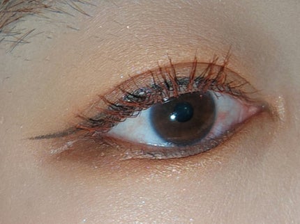 アイカラーパレット ハニーチェスナット/heme/アイシャドウパレットを使ったクチコミ(2枚目)