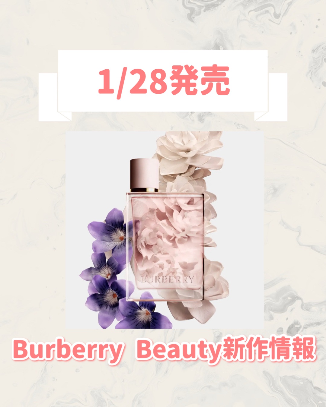 Burberry Beauty バーバリー ハー ペタルズ オードパルファムのクチコミ「🆕Burberry Beautyから新作が発売🥹🤍

୨୧┈┈┈┈┈┈┈┈┈┈┈┈┈┈┈┈┈୨.....」（1枚目）