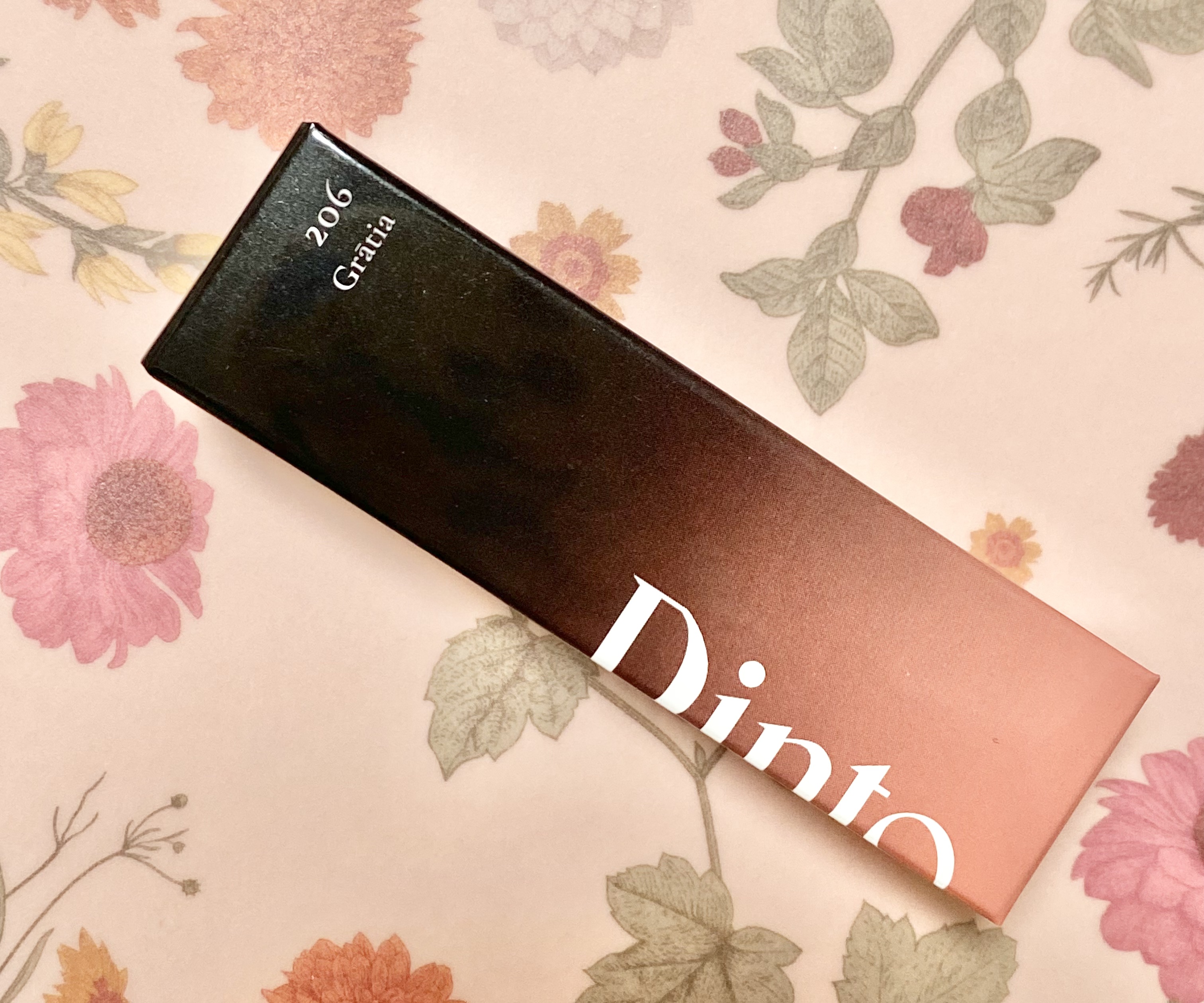 ブラーグロイリップティント 206 グラティア/Dinto/リップティントを使ったクチコミ（1枚目）