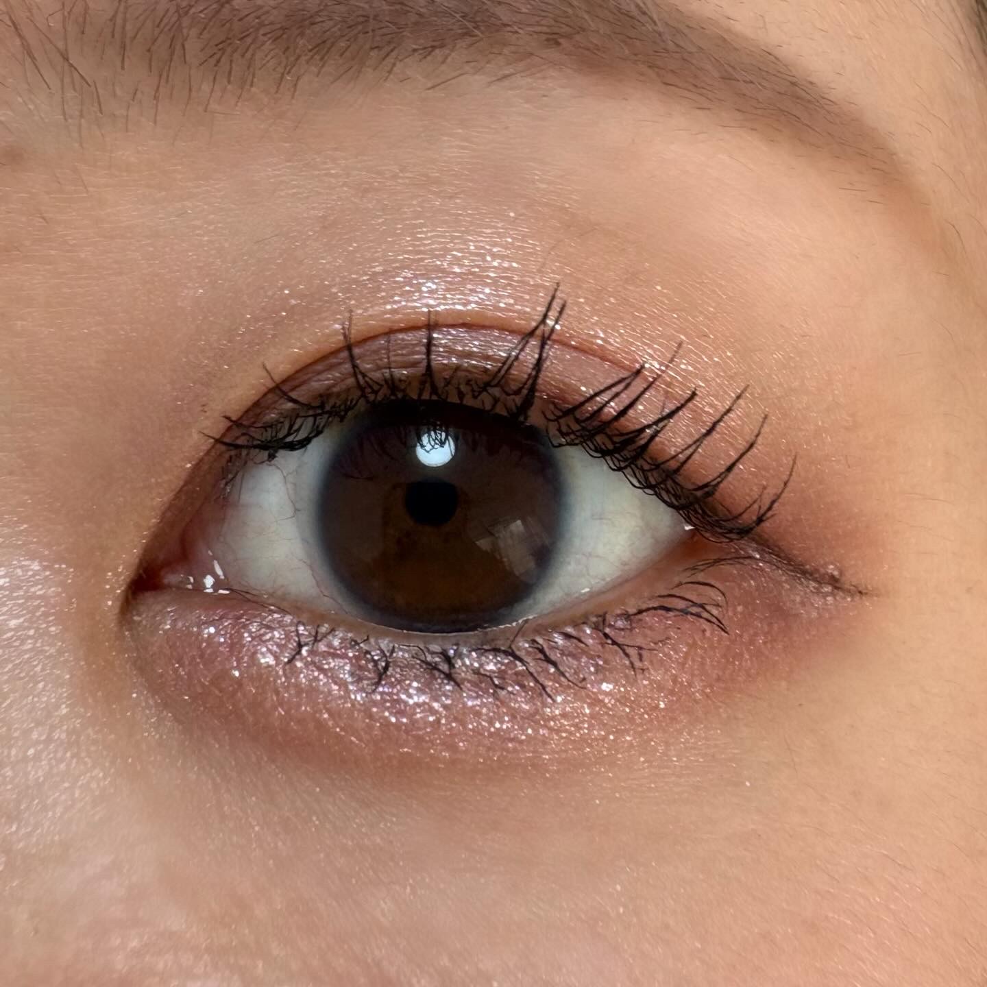 アイスカルプト/shu uemura/アイシャドウパレットを使ったクチコミ（2枚目）